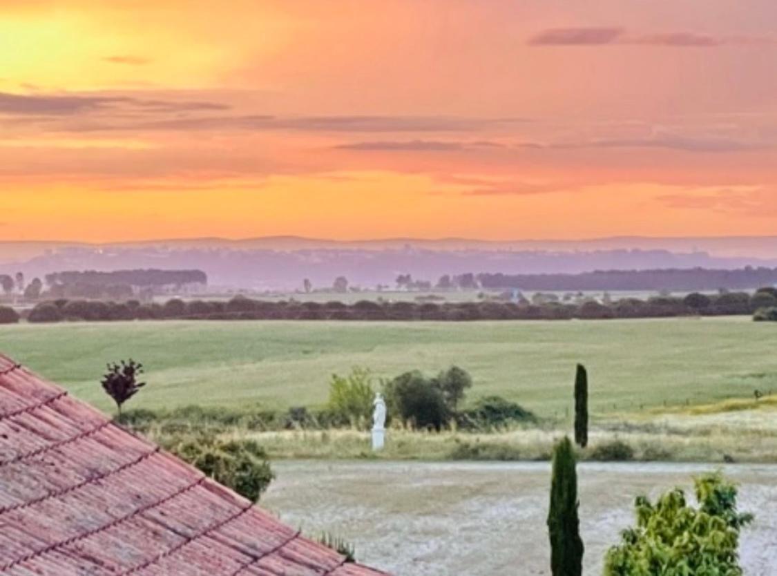 Herdade De Santa Maria Almeirim Bagian luar foto