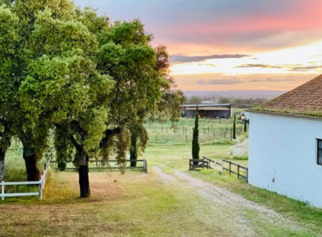 Herdade De Santa Maria Almeirim Bagian luar foto