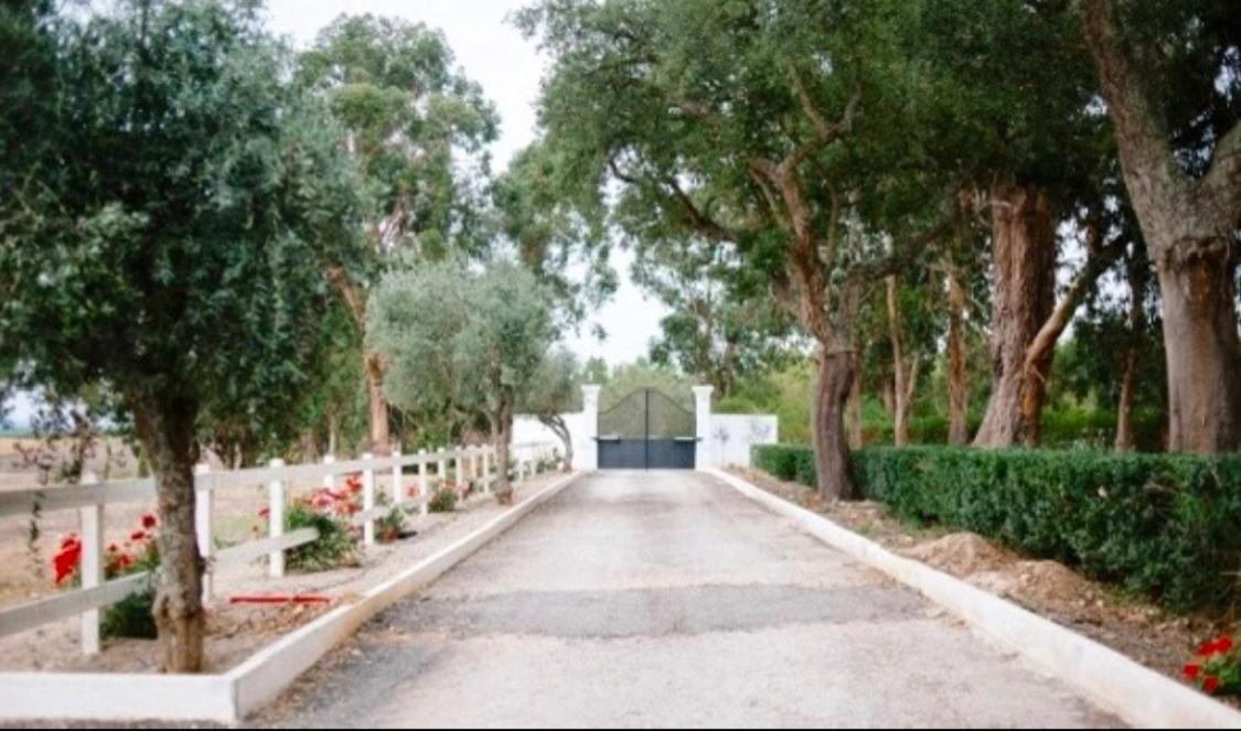 Herdade De Santa Maria Almeirim Bagian luar foto