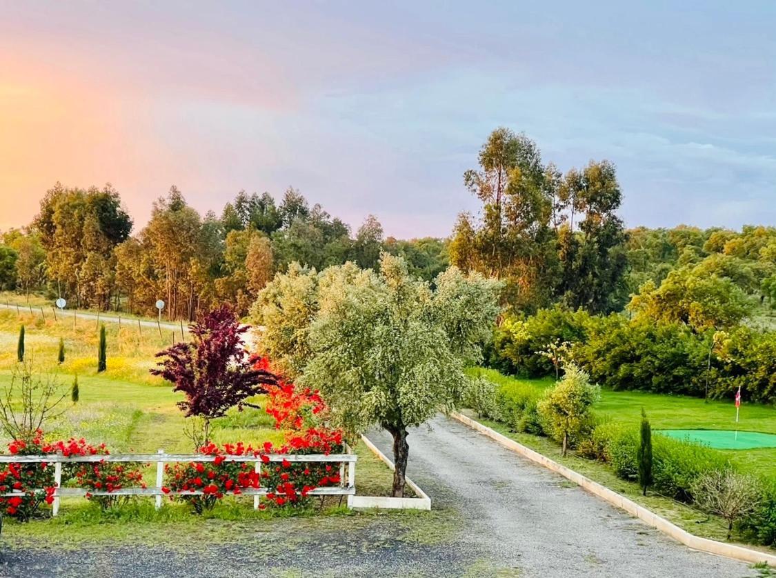 Herdade De Santa Maria Almeirim Bagian luar foto